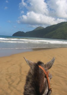 Horseback Riding on the Beach